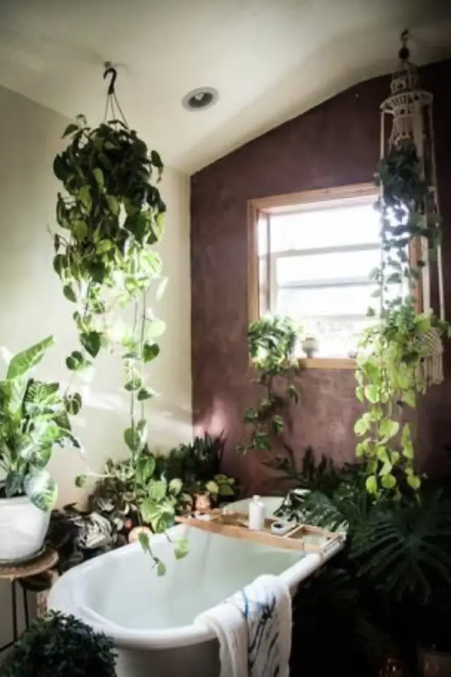 quelle variete plante salle de bain peu de lumière naturelle plantes d'intérieures tropicales suspendues