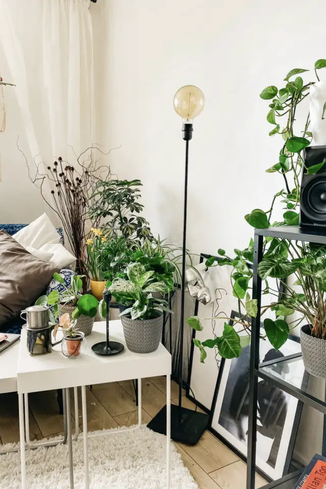 relooker piece petit budget exemple salon séjour moderne et jeune couleur neutre plantes vertes lampadaire minimaliste ampoule globe