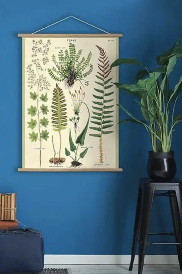 cadre deco vegetal mur affiche pédagogique vintage