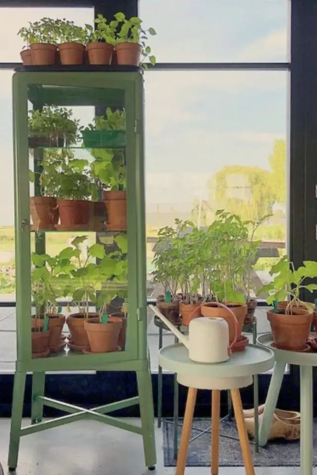 decor vitrine avec plantes interieures inspiration petit meuble pratique pas cher moderne
