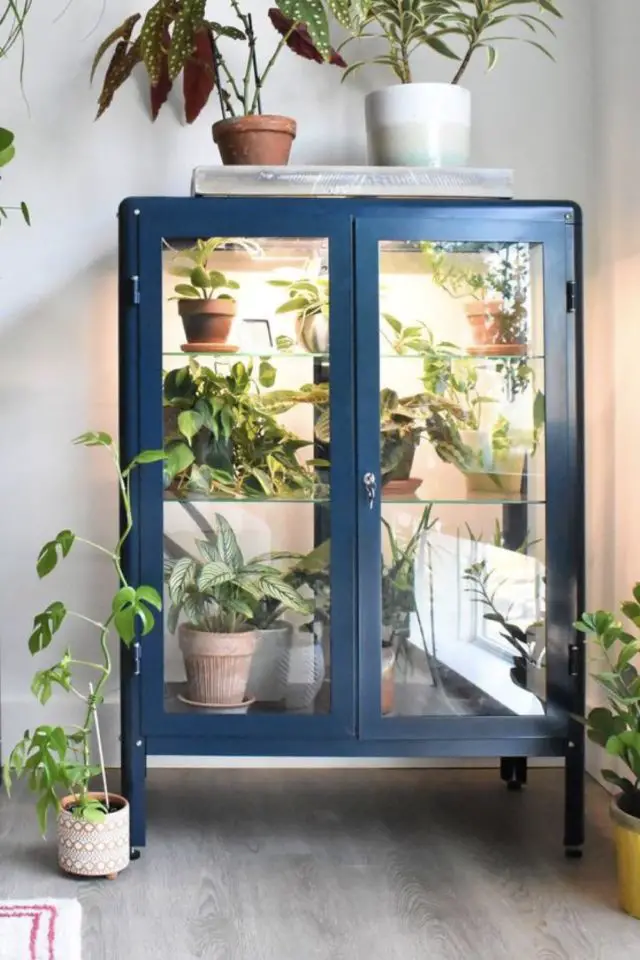 decor vitrine avec plantes interieures inspiration serre greenhouse meuble rangement pratique déco