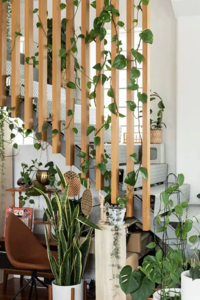 decorer escalier avec plantes exemple tasseaux modernes bois supports plante grimpante décor tendance