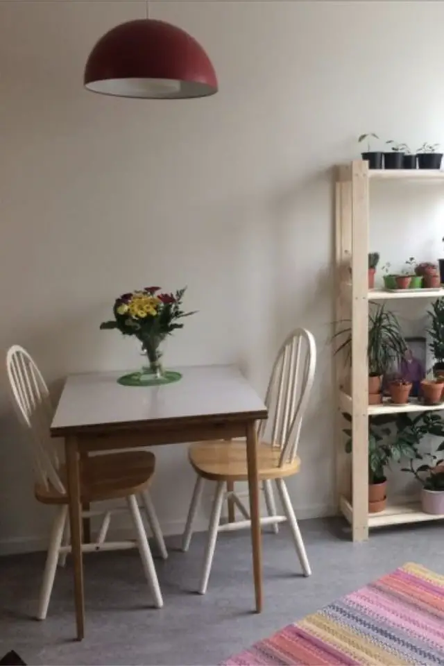 espace repas appart etudiant idee petite table carrée pour 2 personnes étagères en pin avec plantes