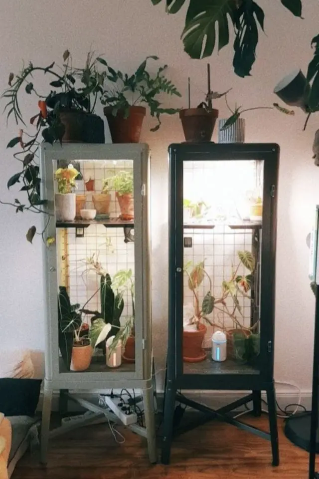 exemple deco vitrine mini serre pratique plantes vertes armoire à plantes