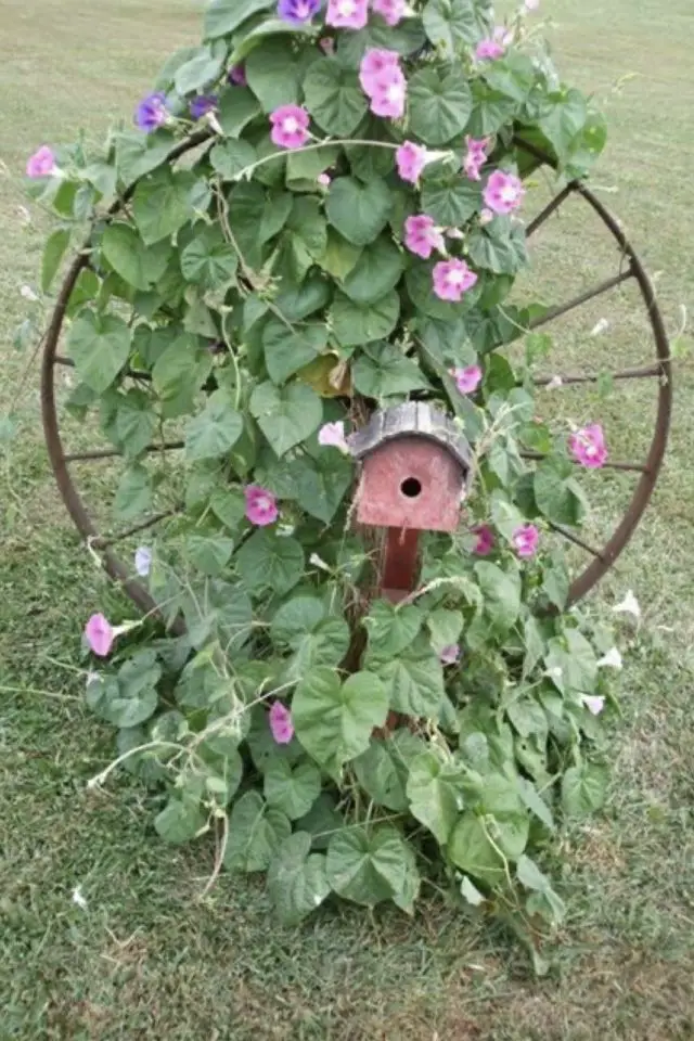 roue de bicyclette recup jardin idee plante grimpante support pas cher écolo