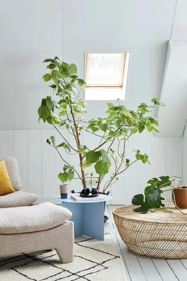 deco design moderne exemple naturel simple élégant plantes table basse en rotin fauteuil beige avec repose pied