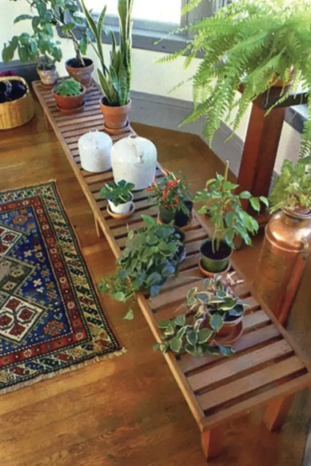 exemple plantes vertes posees banc en bois parquet tapis petit