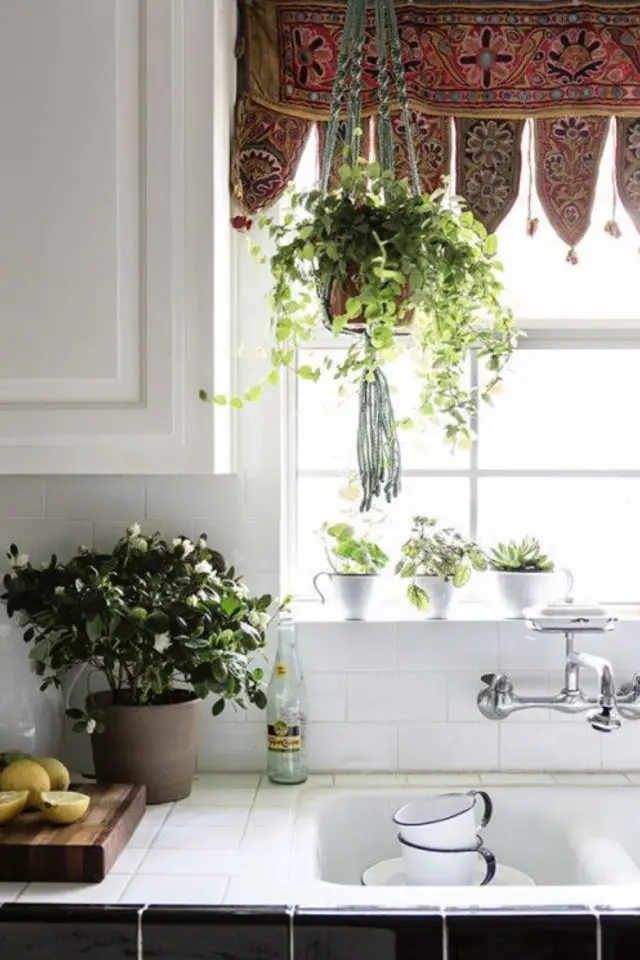 exemple varietes plantes cuisine suspendue fenêtre macramé