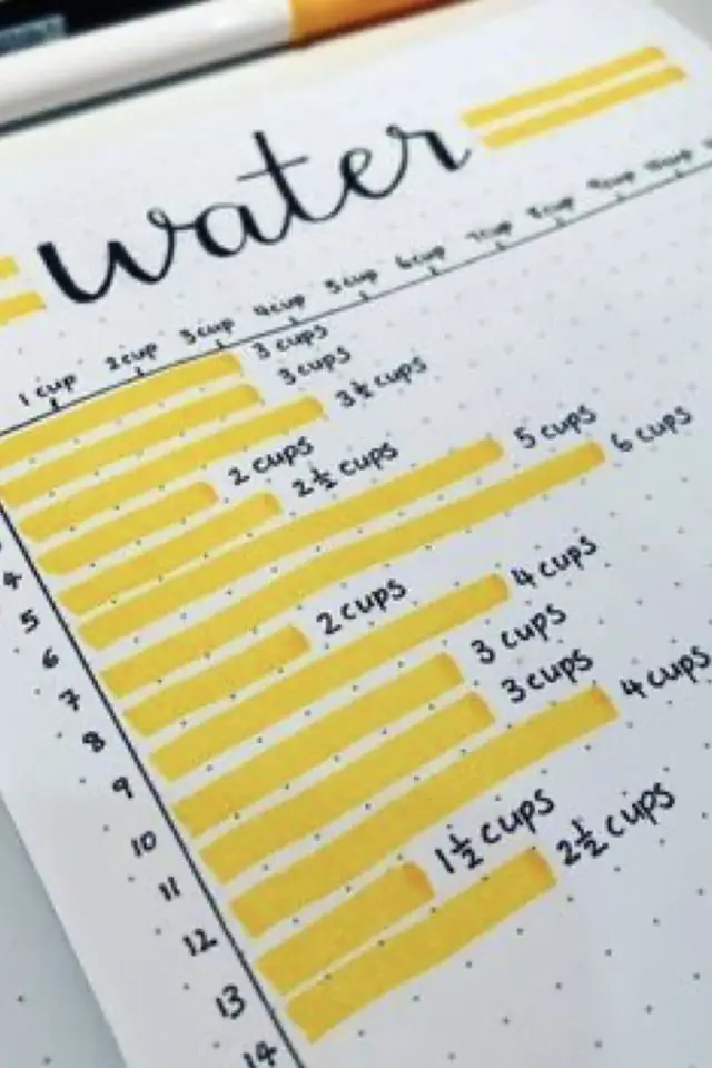 bullet journal trackers a copier routine pour boire plus d'eau
