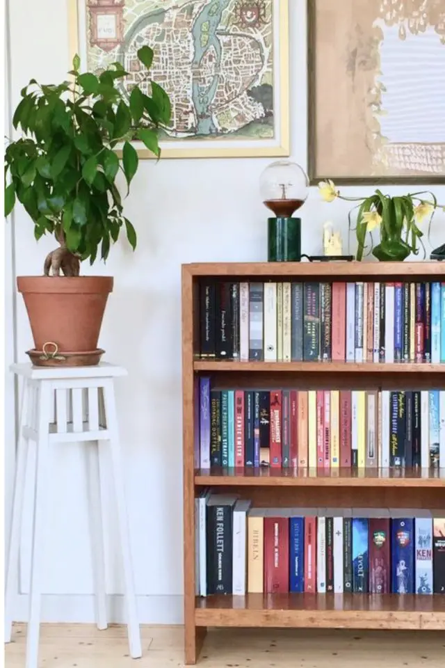 exemple deco petite bibliotheque décoration rangement séjour tabouret plante verte moderne