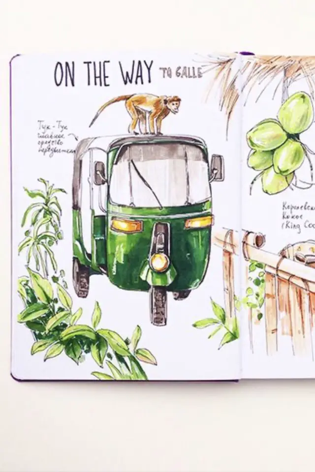 journal voyage asie exemple Inde Tuktuk vert singe nature dessin croquis illustration