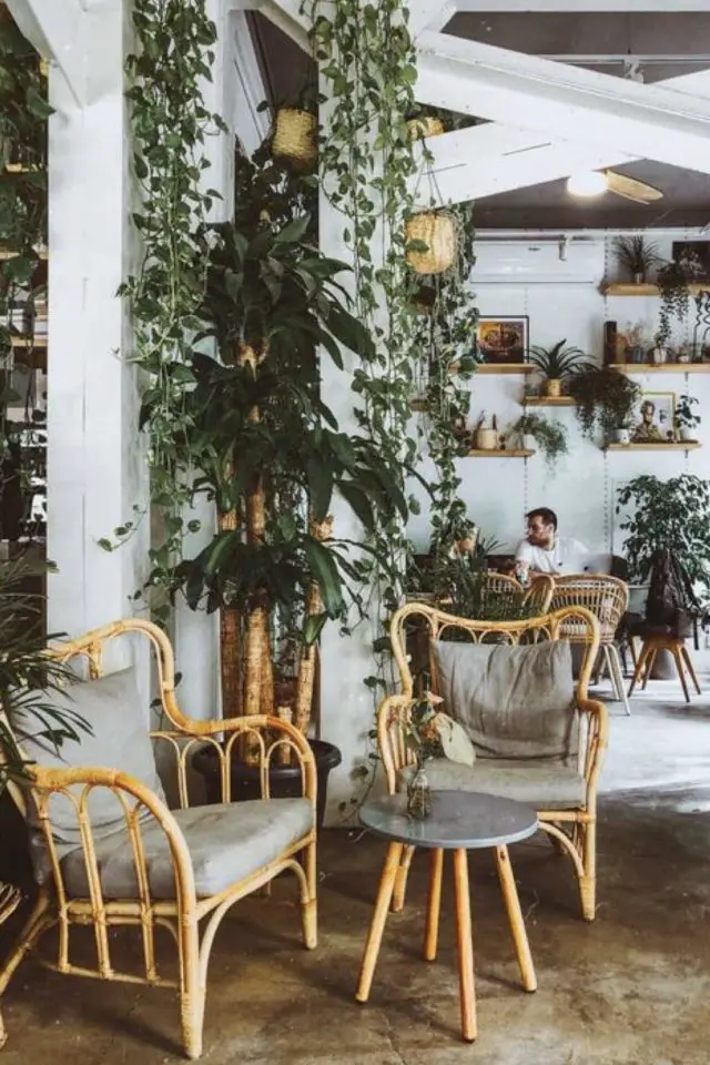 salon de the decor vegetal meubles en rotin moderne et vintage plantes vertes suspendues