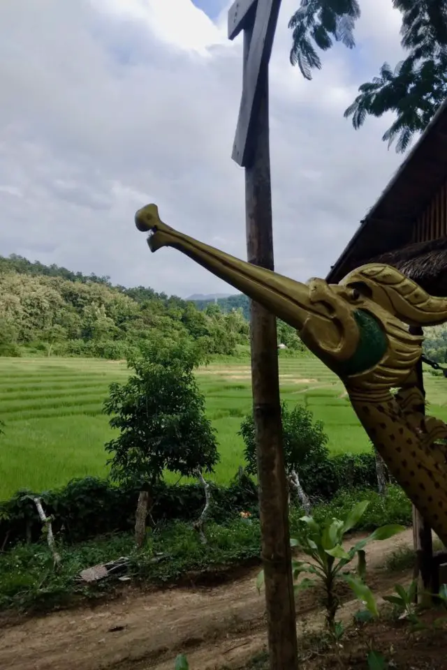 blog voyage laos luang prabang nature promenade visite rizière en terrasse