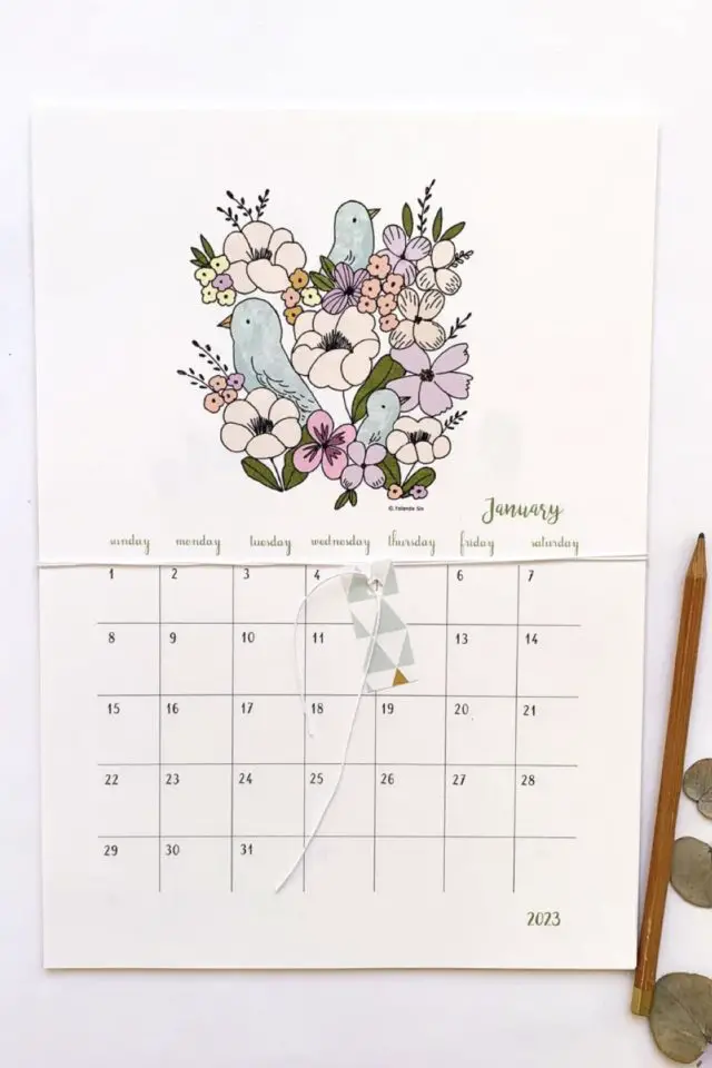 plus jolis calendrier 2023 nature illustration fleurs et oiseaux poétique case