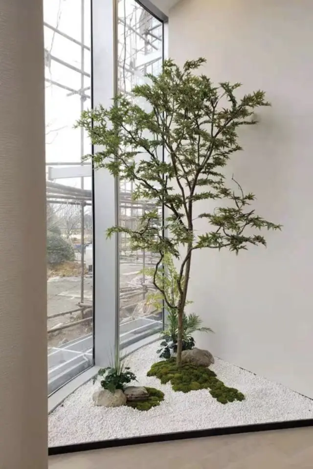 jardin interieur minimaliste esprit japonais architecture aménagement angle pièce fenêtre lumière plante