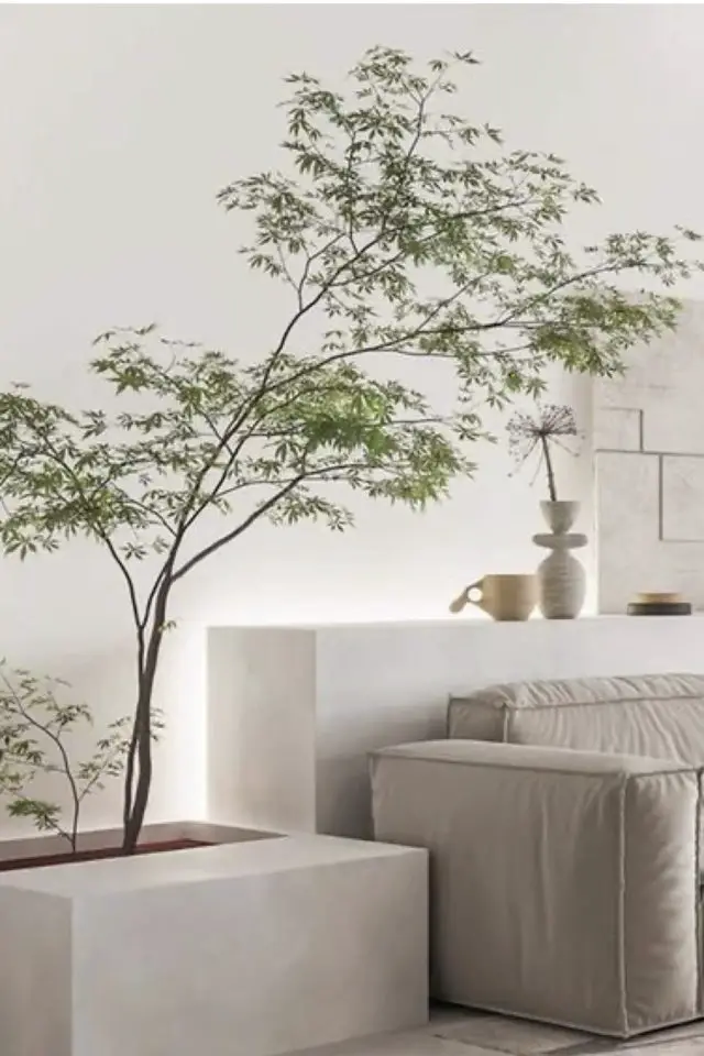 jardin interieur minimaliste esprit japonais jardinière béton salon séjour épuré zen