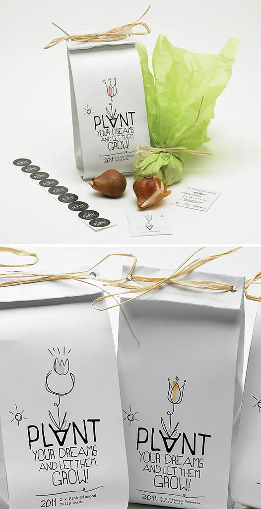 emballage design plante