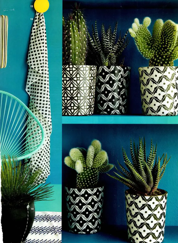 decor cactus