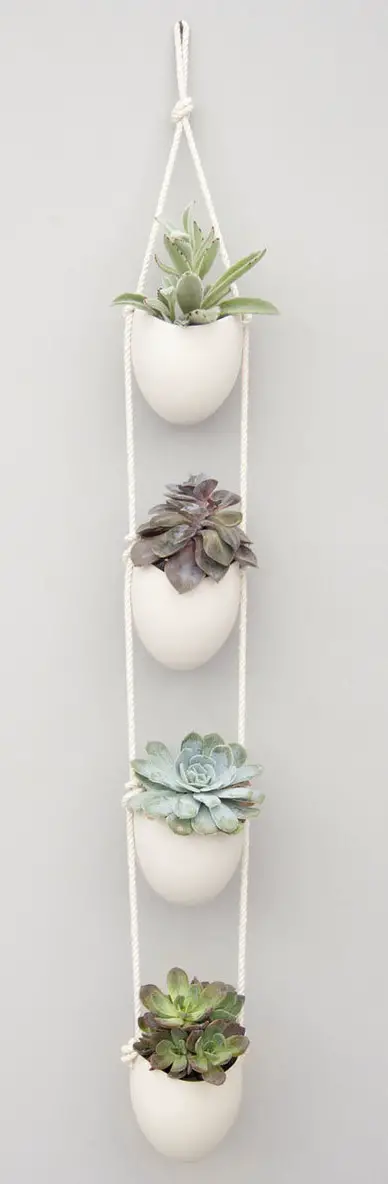 succulente deco minimaliste succulente deco minimaliste