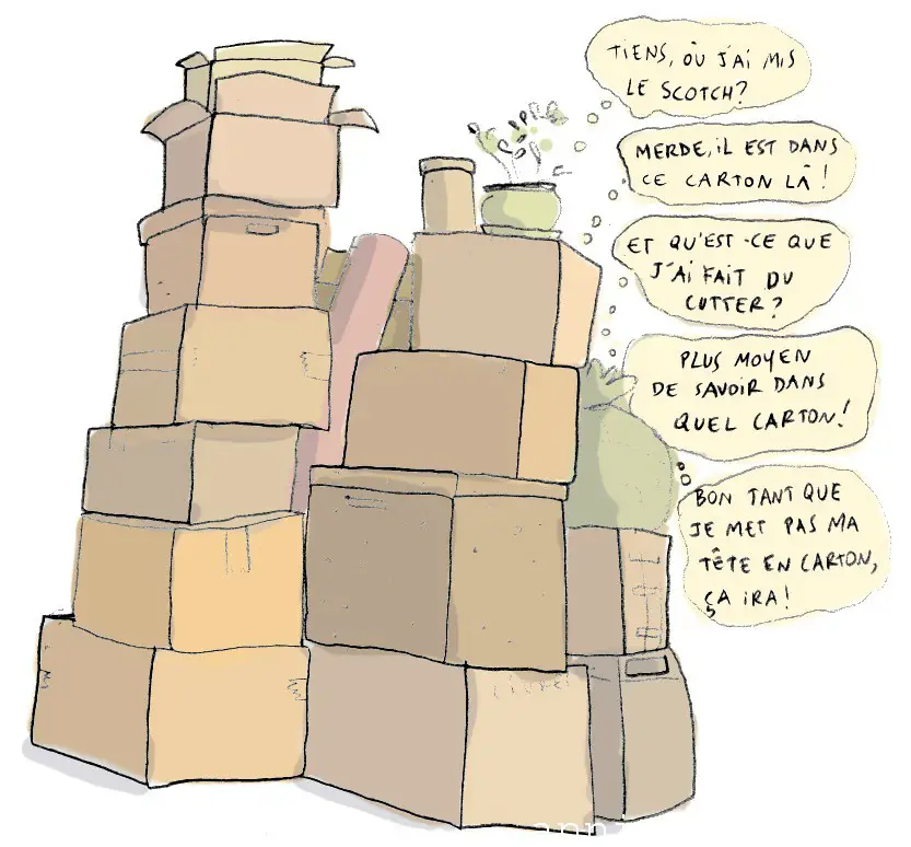 demenagement cartons organisation demenagement cartons organisation