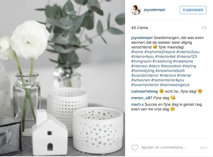 instagram idee deco salon detail blanc fleur vase