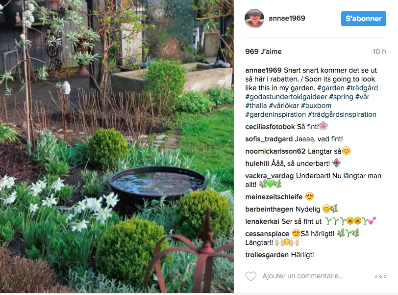 inspiration jardin deco instagram plante