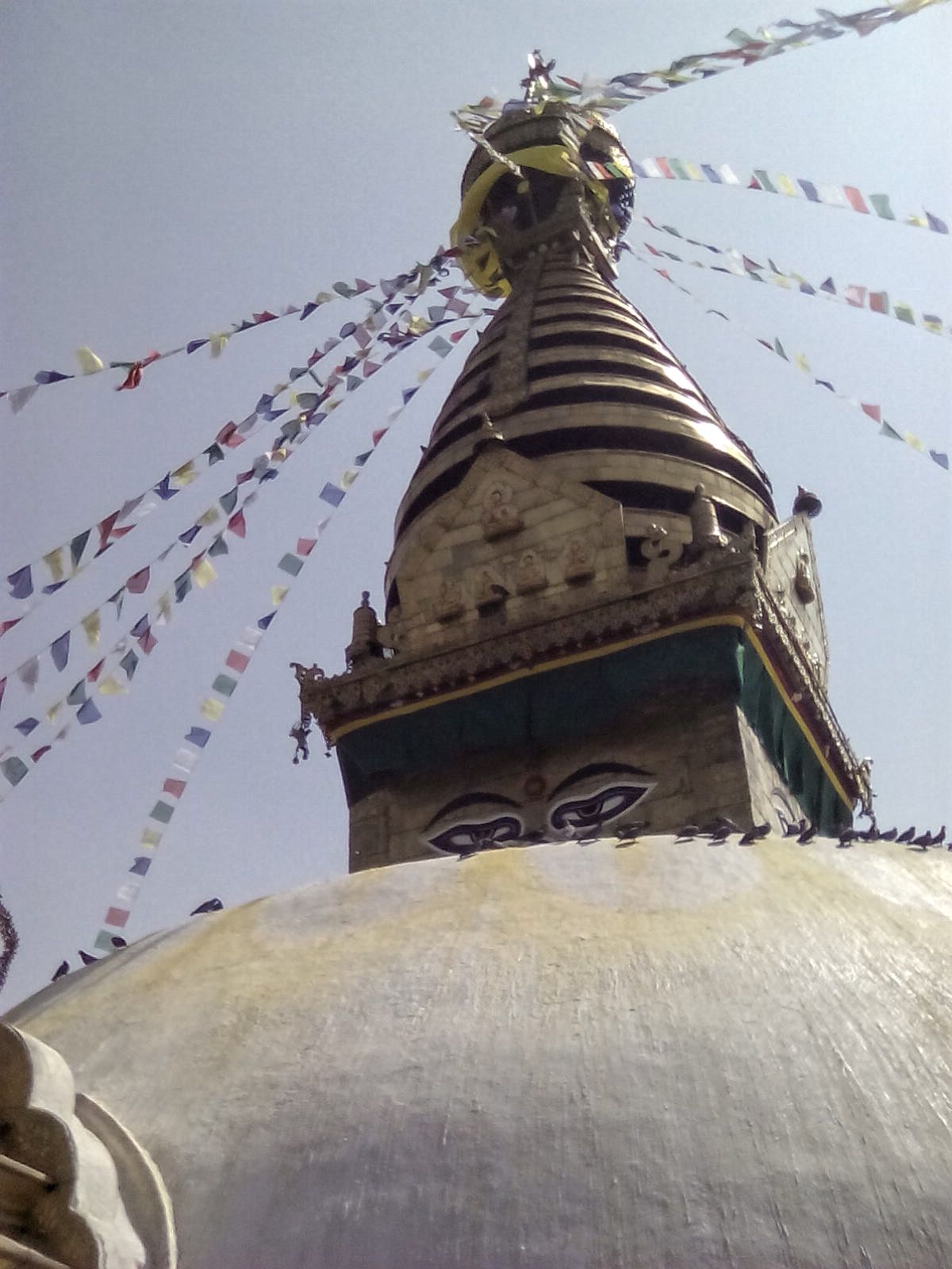 swayambhu stupa monkey temple katmaandou nepal