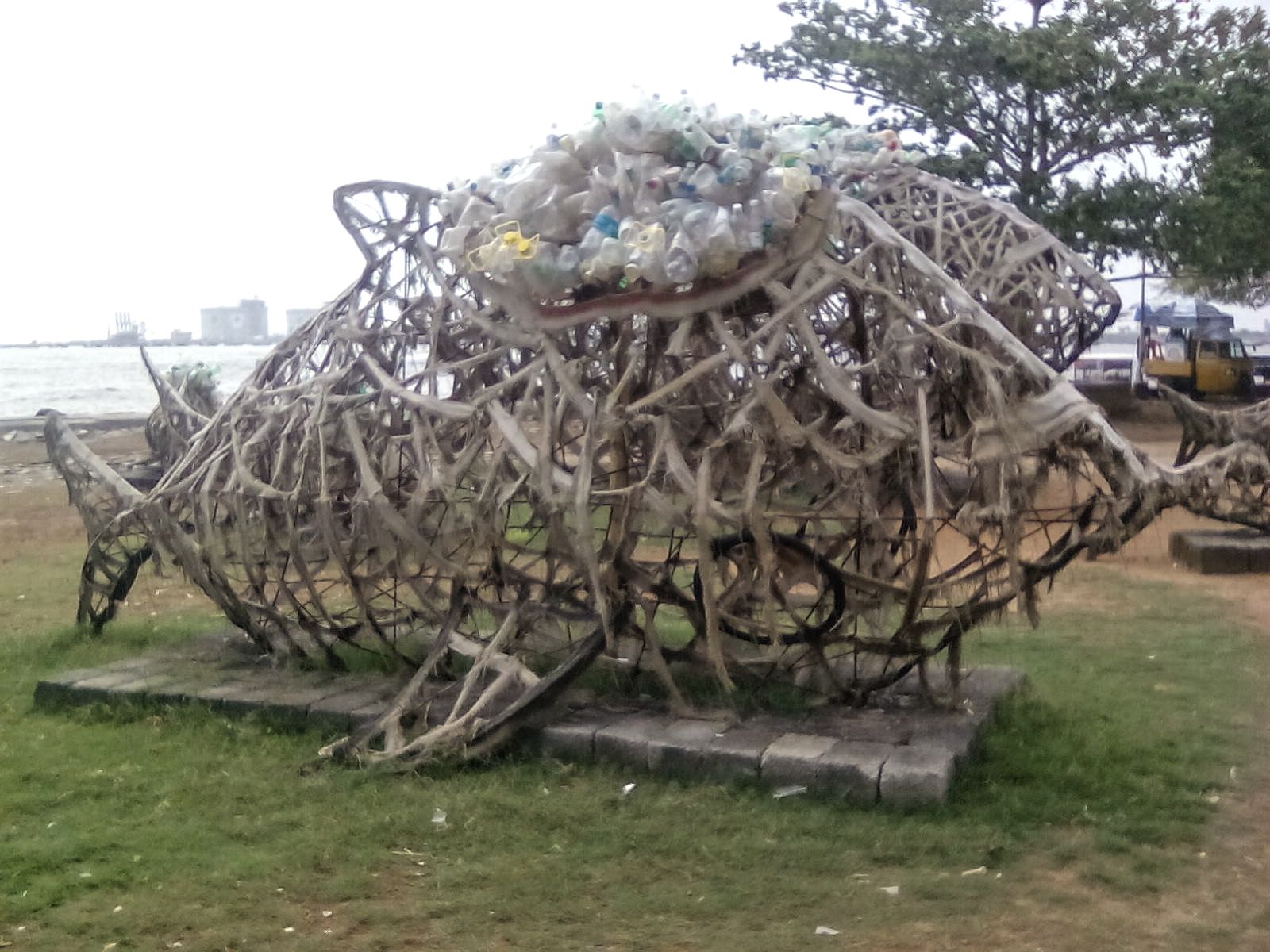 kerala fort cochin sensibilisation dechet ecologie