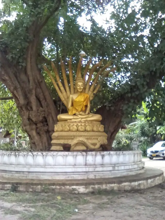 bouddha sculpture luang prabang laos