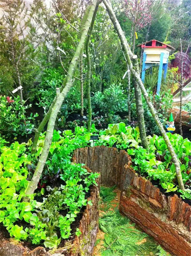 structure jardin permaculture plante