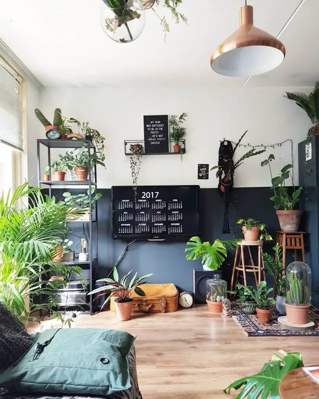 idee deco salon urban nature plante