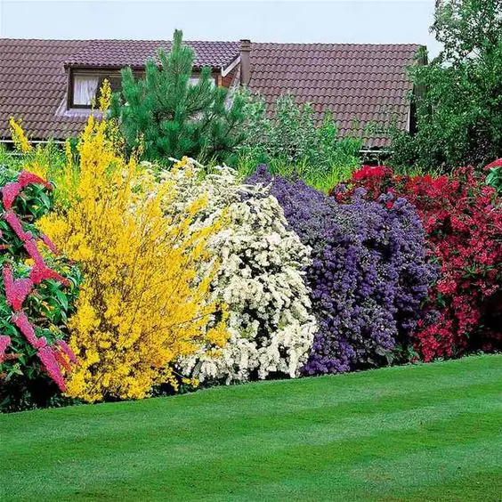 jardin deco couleur plantes