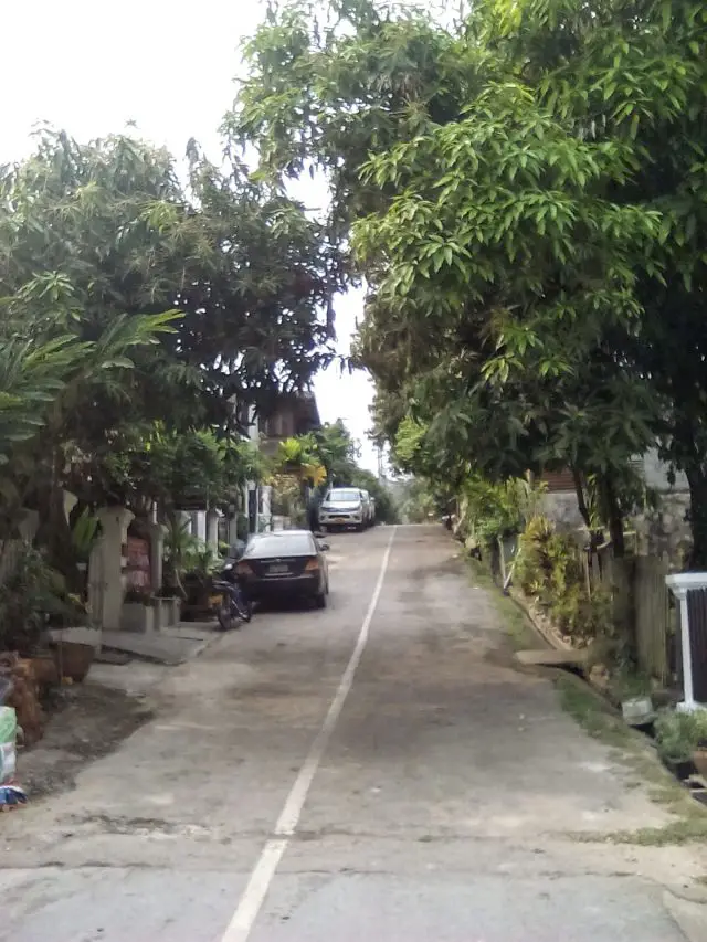 petite rue luang prabang laos