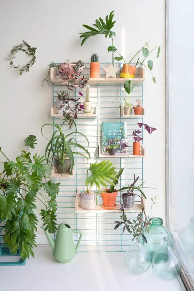 tendance decoration interieure plante 2019