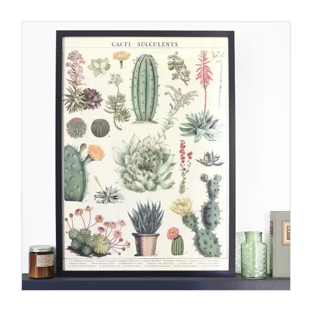 affiche deco cactus succulente motifs