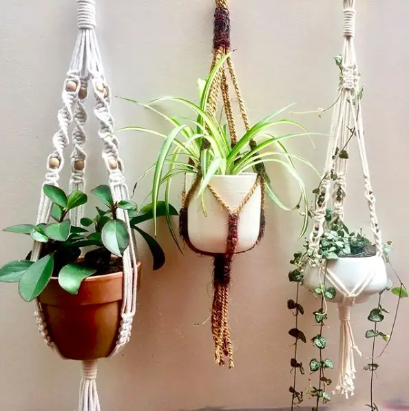 decoration idee plantes suspendues