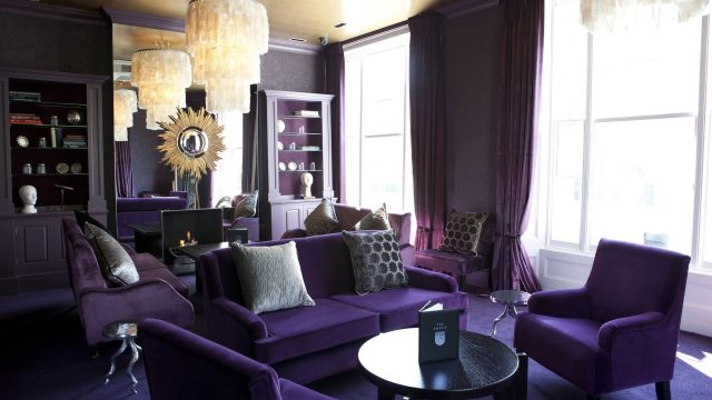 salon decoration violet sombre