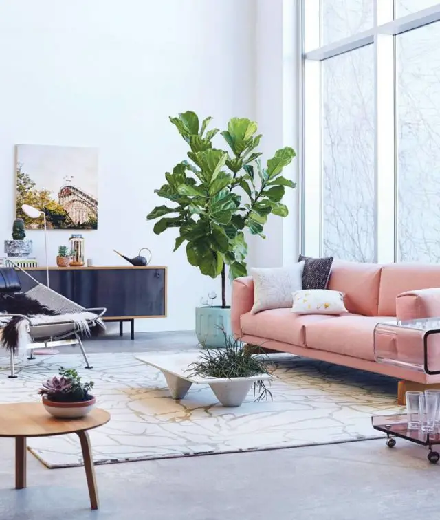 idee deco blanc rose plante salon séjour pièce à vivre lumière naturelle appartement plante angle près fenêtre