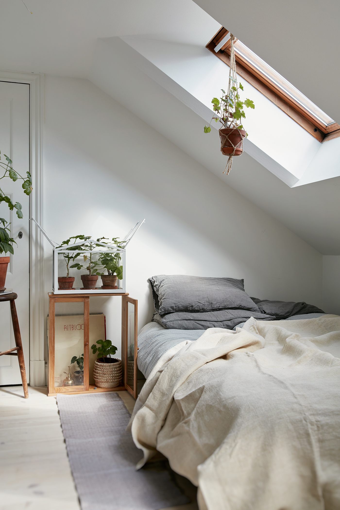 petite chambre minimaliste plante