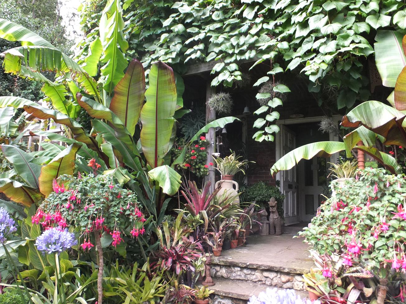 joli jardin exotique idee plantes verte et fleur