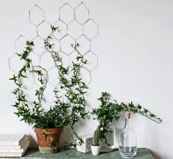 plante grimpante idee deco murale