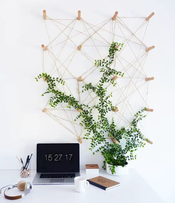 plante grimpante pegboard mural