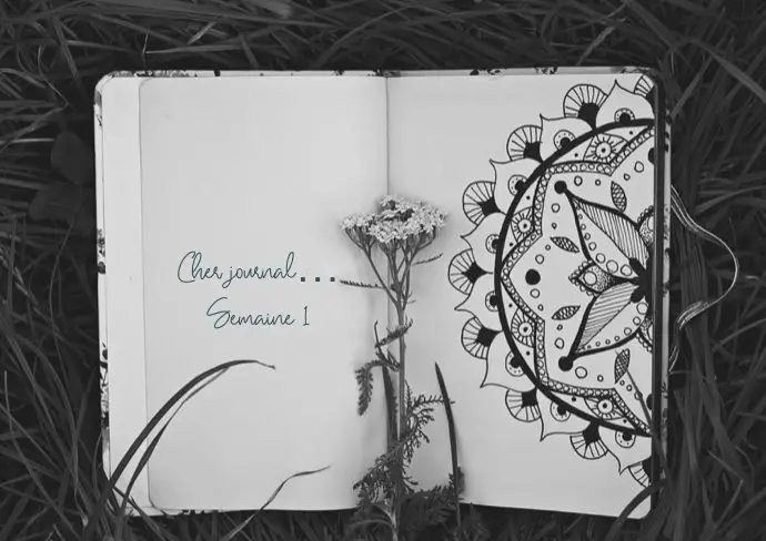 covid19 confinement asie nomade journal semaine 1