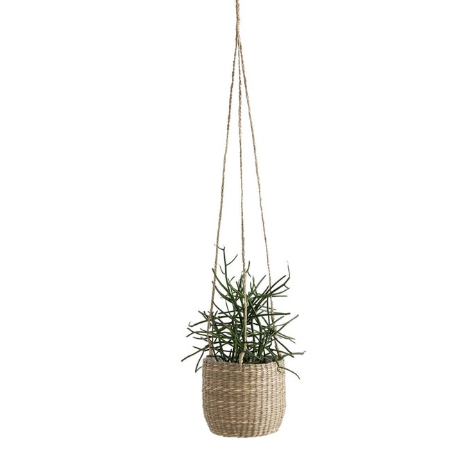 plante cache pot suspendu naturel