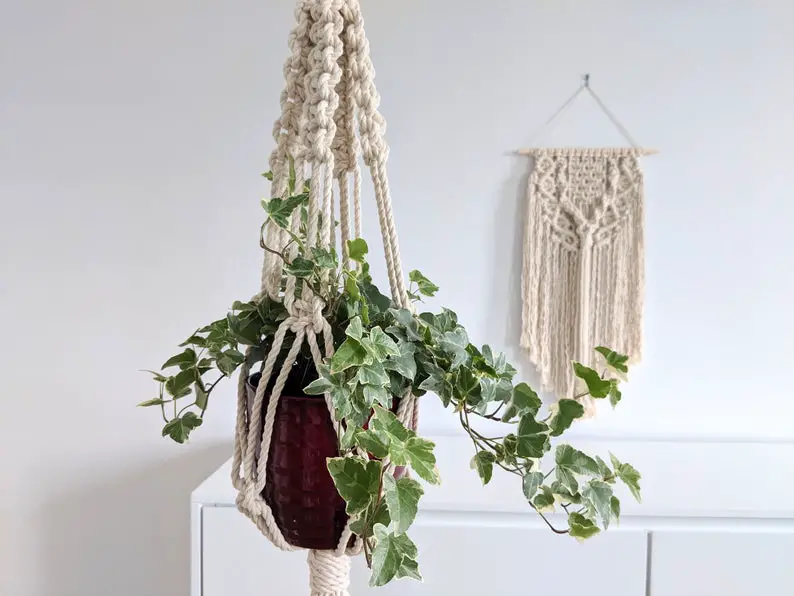 plante cache pot suspension macrame