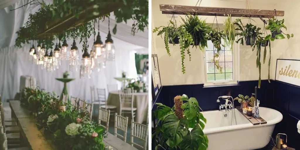 echelle plante suspension plafond idee