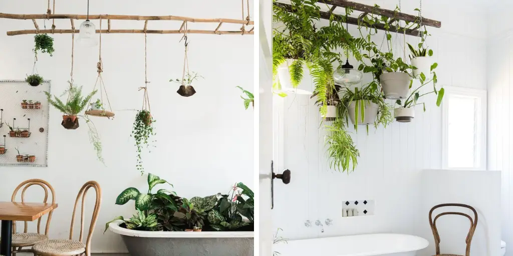 echelle suspendre plante plafond salle de bain