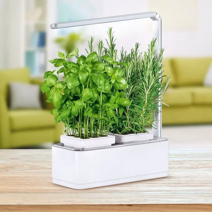 Jardinière d'intérieur fines herbes - accessoire cuisine - InnovMania