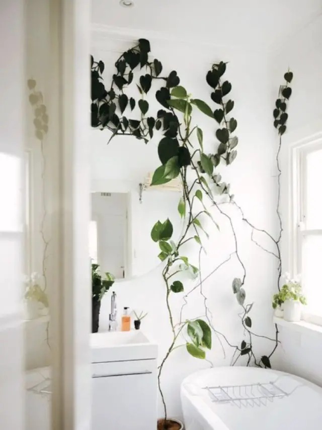 salle de bain plantes vertes mur
