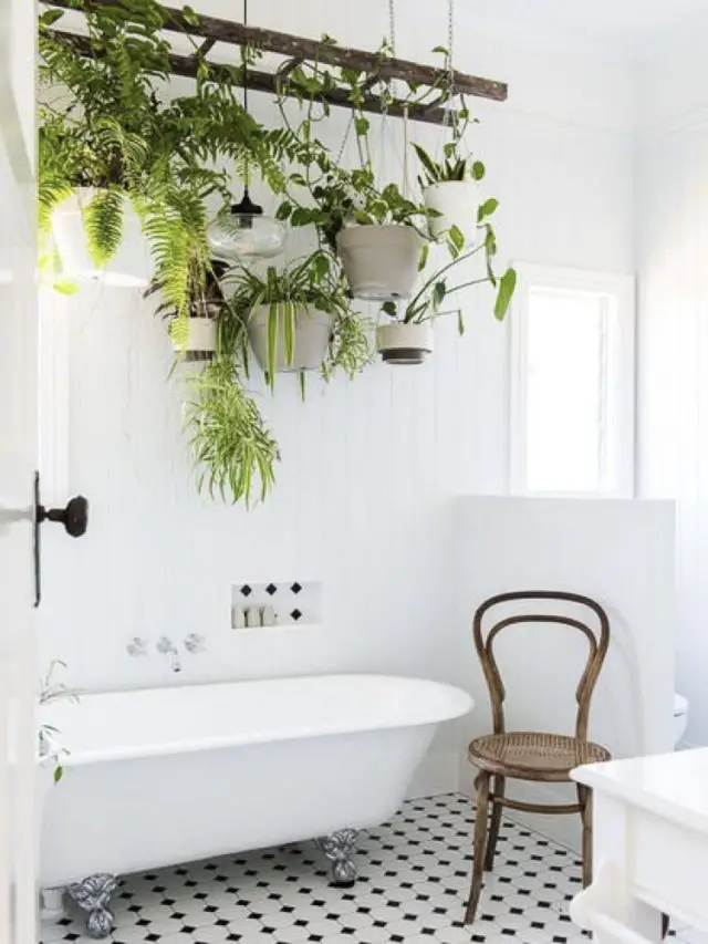 salle de bain echelle suspendue plante interieur